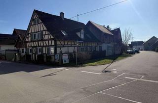 Grundstück zu kaufen in Hauptstr. 48, 77963 Schwanau, Großes Grundstück für die Entwicklung mit Altbestand