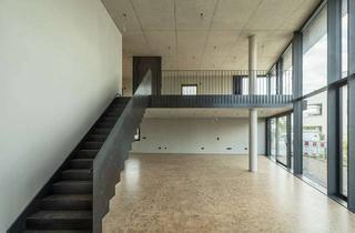 Gewerbeimmobilie mieten in 76829 Landau, Großes Loft im Gewerbeobjekt "Farfalle"