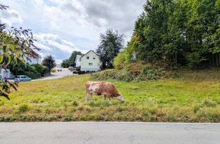 Immobilie kaufen in 64668 Rimbach, Toller Bauplatz in bevorzugter Lage von Rimbach: Unverbaubare Feldrandlage, optional 2. Grundstück!