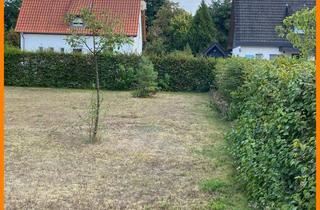 Grundstück zu kaufen in 33790 Halle, Niedliches Grundstück für neues EFH