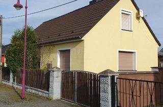 Einfamilienhaus kaufen in 01979 Lauchhammer, Lauchhammer - EFH mit Kamin, PV und Klimaanlage in Lauchhammer