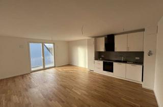 Wohnung mieten in Meiereistraße 12, 21493 Schwarzenbek, 2 Zimmer Neubauwohnung Schwarzenbek