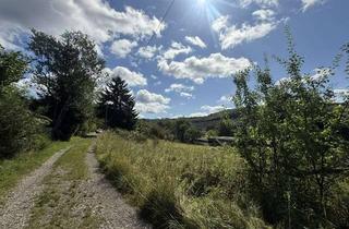 Grundstück zu kaufen in Hembach 11, 57250 Netphen, Südlage, ruhig am Waldrand: Baugrundstück mit Aussicht
