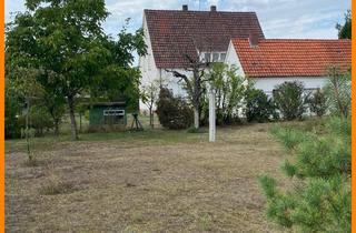 Grundstück zu kaufen in 33790 Halle, Niedliches Grundstück für neues EFH