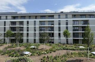 Wohnung mieten in Wiesbadener Straße 85A, 55252 Mainz-Kastel, Mainz-Kastel: Komfortabel Singlewohnung in modernem Neubau