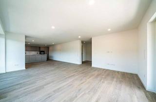 Penthouse mieten in 74821 Mosbach, Haustiere willkomme - Traumhafte und luxuriöse 2-Zimmer-Penthouse-Wohnung mitten in Mosbach