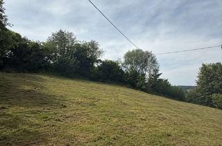 Grundstück zu kaufen in Steinebacher Straße 40, 57627 Hachenburg, Hachenburg: Baugrundstück mit Planung für 7 Wohnungen und ca. 674 m² Wohnfläche