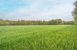 Gewerbeimmobilie kaufen in 33161 Hövelhof, Investition in Grund und Boden. Hochwertige Ackerfläche in gefragter Region