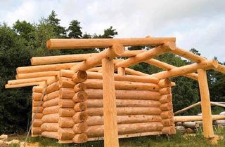Haus kaufen in 19300 Grabow, Grabow - Naturstammhaus - 15.000?