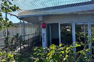 Wohnung kaufen in Zellestraße, 10247 Friedrichshain, Dachgeschoßwohnung mit begrünter Dachterrasse