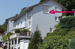 Wohnung mieten in Edith Stein Strasse, 79761 Waldshut-Tiengen, Schöne 4-Zimmer-DG-Wohnung mit Dachterrasse und EBK in Waldshut-Tiengen