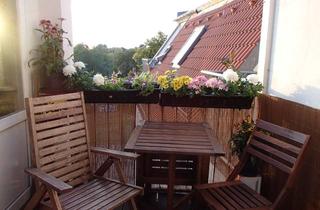 Wohnung mieten in 12459 Oberschöneweide, Möblierte Dachgeschosswohnung mit Terrasse und Spreeblick