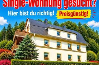 Wohnung mieten in 09430 Scharfenstein, Azubi, Single oder Neustarter? Hier wartet dein neues Zuhause mit Kamin & Burgblick!