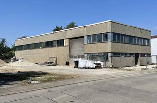 Gewerbeimmobilie mieten in 72127 Kusterdingen, Kurzzeitmiete: 466qm Halle (LKW-Womo-befahrbar) + 8 Stellplätze - ideal für Hagelstützpunkt/ Pop-up