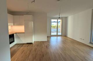 Wohnung mieten in Die Landwehr, 61138 Niederdorfelden, 4-Zimmer-Wohnung inkl. EBK mit großem Garten nahe Frankfurt als Erstbezug