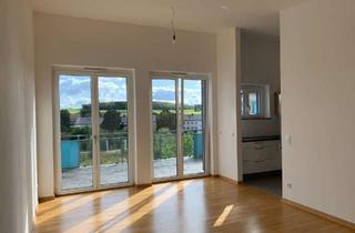 Penthouse mieten in 95032 Innenstadt, **Tolle Penthouse-Wohnung mit Blick über die Dächer von Hof (Ortsteil Krötenbruck) zu vermieten**