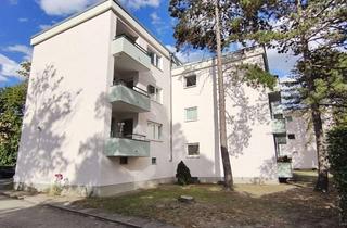Wohnung mieten in Kormoranweg 60, 12351 Buckow, Wohnen mit Charakter: Kompakte 1,5-Zimmer-Wohnung in Berlin-Buckow