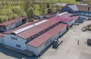 Gewerbeimmobilie mieten in 88630 Pfullendorf, Produktionshalle / Gewerbehalle mit Lackierkabine