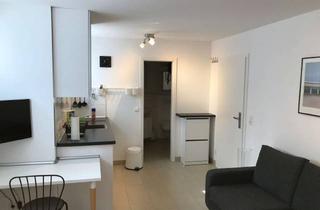 Immobilie mieten in 74395 Mundelsheim, Liebevoll eingerichtetes 1- Apartment in ehemaliger Fabrikanten Villa
