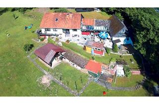 Haus kaufen in 34385 Bad Karlshafen, Bad Karlshafen - PROVISIONSFREI | Wohnhaus & Altbau | 5.000 m² Grundstück