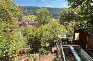 Einfamilienhaus kaufen in 72221 Haiterbach, Haiterbach - Einfamilienhaus mit großem Garten und viel Natur