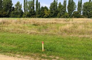 Grundstück zu kaufen in 04931 Mühlberg, Viel Platz für großzügiges Wohnen und Mehrgenerationen