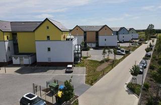 Wohnung mieten in An Der Pferdekoppel, 30926 Seelze, Helle 2-Zimmer-Wohnung im Erdgeschoss mit Terrasse in Seelze OT Dedensen
