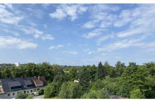 Wohnung mieten in Längenauer Straße 10, 95100 Selb, ☀️1-Zimmerwohnung in Selb, gr. Dachterrasse; möbliert