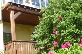 Wohnung mieten in 09337 Hohenstein-Ernstthal, Freundliche Sanierte 2 Zimmer EG-Wohnung mit großen Sonnigen Balkon zum Garten.