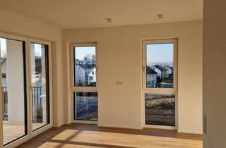 Wohnung mieten in Fliederstraße, 85276 Pfaffenhofen, 2-Zimmerwohnung mit Süd-West-Balkon mit unverbaubarem Blick über die Stadt und neuer Einbauküche