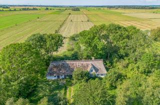 Haus kaufen in 25779 Kleve, Reetdachhaus im Dornröschenschlaf - bereit für ein neues Kapitel