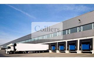 Gewerbeimmobilie mieten in 63755 Alzenau, Logistikfläche direkt an der A45 - ca. 20.000 m² - Q1 2027