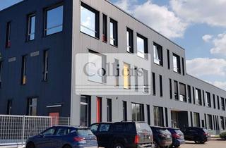 Büro zu mieten in 40699 Erkrath, Single-Use | Lager | Büro | Rampen | modern