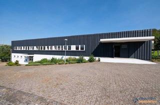Büro zu mieten in 65611 Brechen, Vielseitige Gewerbehalle / Lagerhalle / Büro mit Freifläche in verkehrsgünstiger Lage
