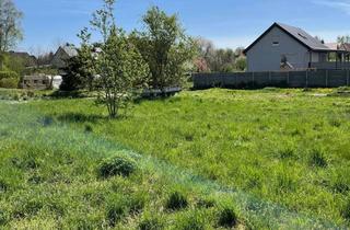 Grundstück zu kaufen in 04668 Grimma, Baugrundstück in Grimma - eine tolle Basis für ihr Bauvorhaben!