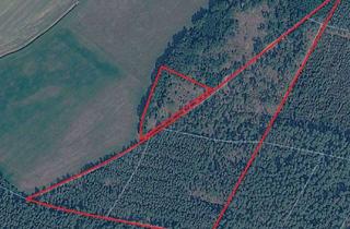 Gewerbeimmobilie kaufen in 39524 Wust, Östlich Stendal, Jerichower Land, 4,35 ha Waldfläche
