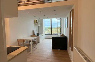 Wohnung mieten in 61169 Friedberg, Sanierte, möblierte 1-Zimmerwohnung ab Oktober 2026