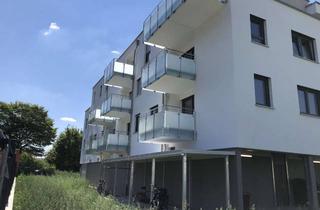 Wohnung mieten in 97236 Randersacker, Seniorenresidenz in Randersacker: 2-Zimmer mit Balkon