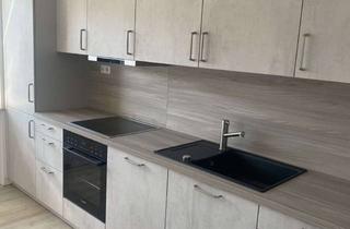 Wohnung mieten in 89415 Lauingen, Neu renovierte 3-Zimmer-Wohnung mit Balkon