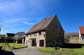 Haus kaufen in 01591 Riesa, Sanierungsobjekt zum Schnäppchenpreis