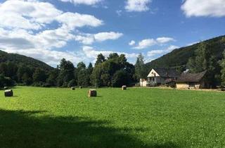 Bauernhaus kaufen in 55606 Hahnenbach, Historischer Bauernhof mit Mühle und rund 8,4 Hektar Eigenland