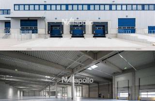 Büro zu mieten in 63505 Langenselbold, Top-Logistikfläche! | 7.000m² Hallenfläche | 800m² Bürofläche | Provisionsfrei