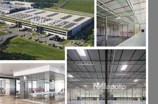 Gewerbeimmobilie mieten in 65510 Idstein, Moderner Logistik-Neubau ☆ 17.000 m² Halle ☆ Bezug Q3 2027 ☆ Provisionsfrei