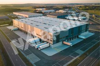Büro zu mieten in 63505 Langenselbold, Jetzt besichtigen! | 7.500m² Hallenfläche | 1.000m² Bürofläche | Provisionsfrei
