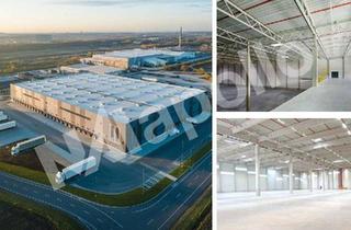 Büro zu mieten in 63457 Hanau, Chance nutzen! | 7.500m² Hallenfläche | 1.000m² Bürofläche | Provisionsfrei