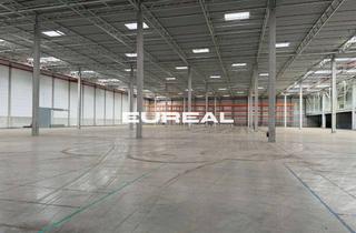 Gewerbeimmobilie mieten in 59494 Soest, Provisionsfreie Logistikhalle | 25 Rampen | teilbar ab 10.000m²