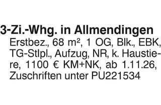 Wohnung mieten in 89604 Allmendingen, 3-Zi.-Whg. Allmendingen