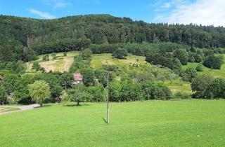 Immobilie kaufen in 77791 Berghaupten, Idyllischer Bauernhof im Kinzigtal – 7,5 ha Natur & außergewöhnliche Möglichkeiten