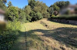 Grundstück zu kaufen in 37434 Gieboldehausen, Grundstück mit Bebauungspotenzial in Krebeck Renshausen - ruhig, naturnah, gut angebunden