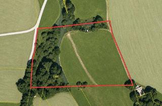 Grundstück zu kaufen in 82346 Andechs, 13.250m² Land & Forstwirtschaftsfläche mit Grünland und Mischwald in Andechs